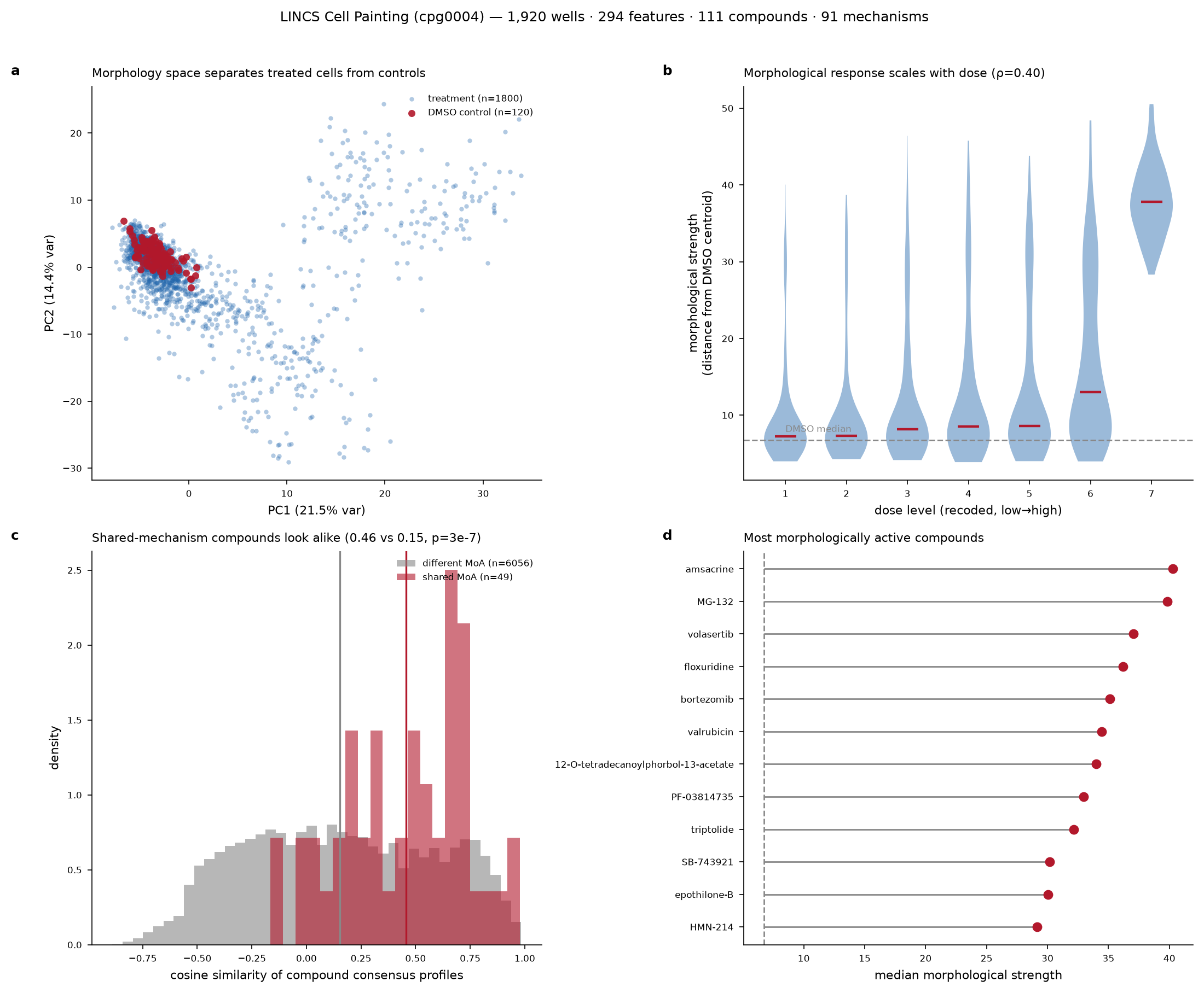 Four-panel first-pass figure: PCA of treatment versus control, dose-response violin plot, shared-mechanism similarity histogram, and a ranked list of the most morphologically active compounds.