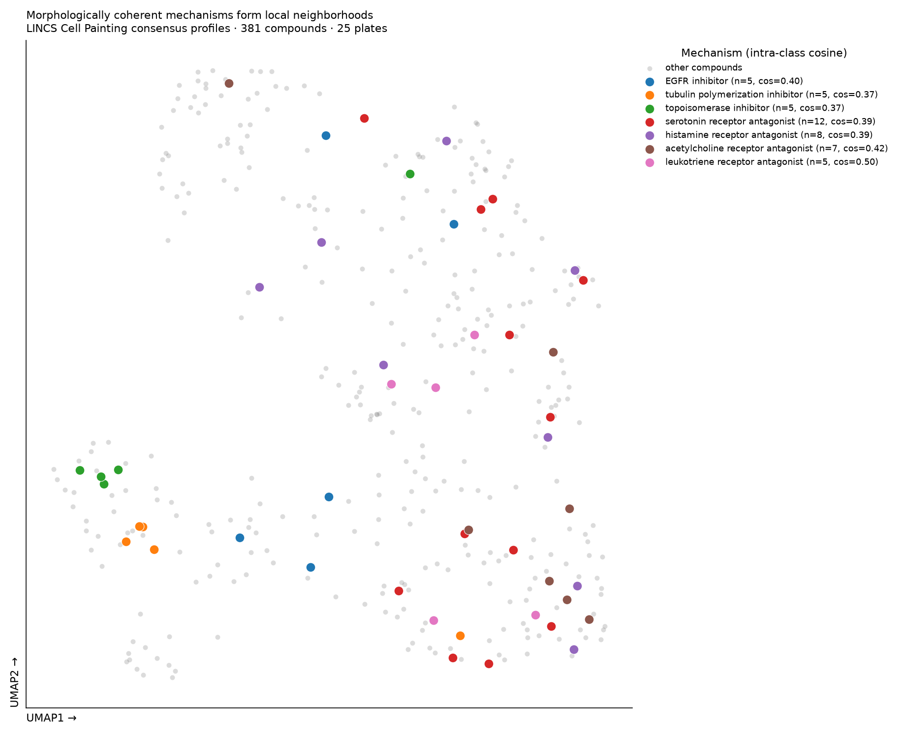 UMAP scatter of 381 compound consensus profiles with the most morphologically coherent mechanism classes highlighted in color against grey background points.